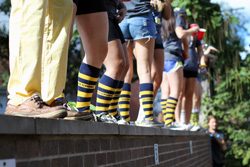 University of Michigan greek life socks sorority girls